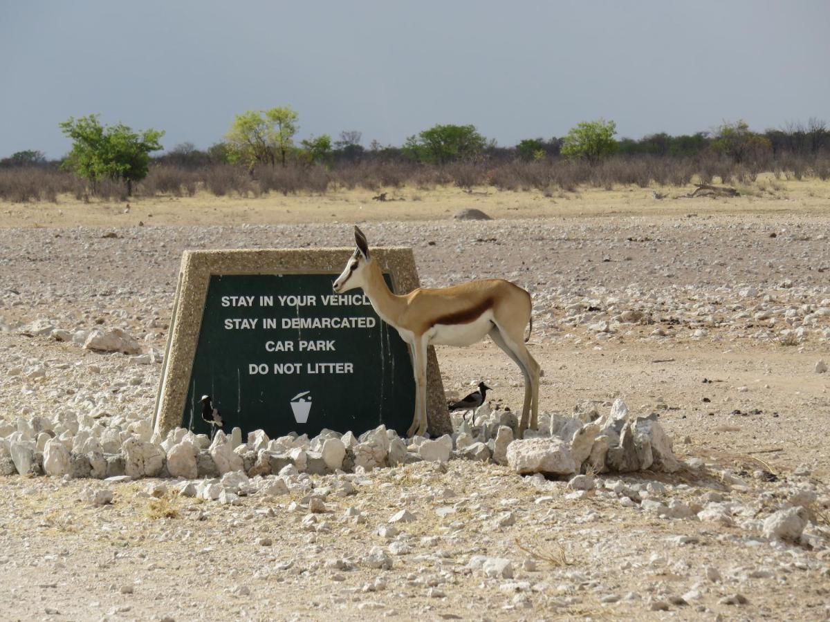 Etosha Safari Campsite Hotel Exterior photo